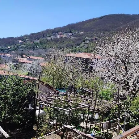 “tra Cielo E Mare” * Аджерола